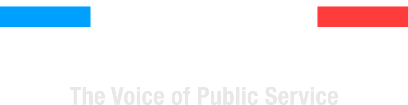 The Good Government Show